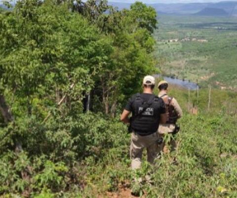 Imagem do post Eunápolis: trabalhador é morto após discussão e homem é preso em flagrante