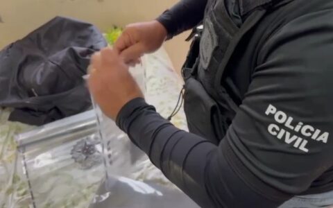 Imagem do post Operação prende seis e cumpre 18 mandados contra o Comando Vermelho