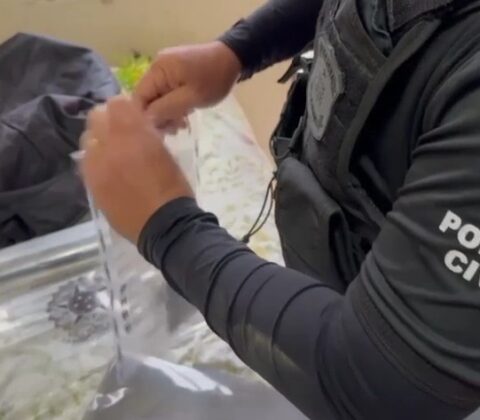 Imagem do post Operação prende seis e cumpre 18 mandados contra o Comando Vermelho