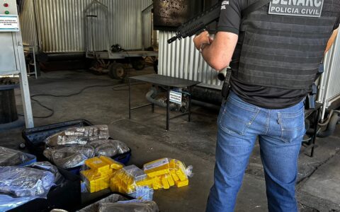 Imagem do post Cerca de 225 quilos de drogas são incinerados em Vitória da Conquista