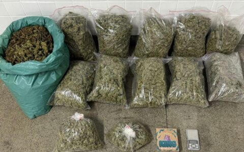 Imagem do post PM apreende 34 quilos de maconha após fuga em Feira de Santana