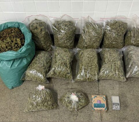 Imagem do post PM apreende 34 quilos de maconha após fuga em Feira de Santana