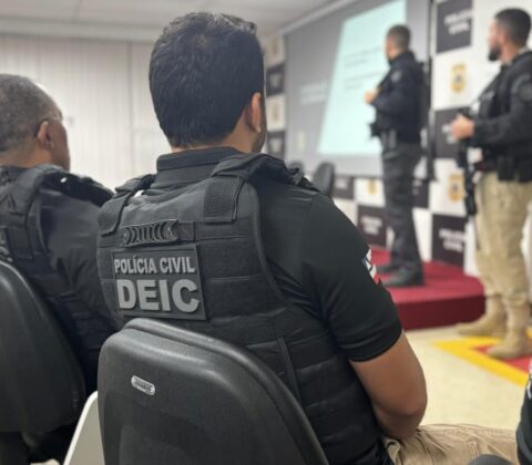 Imagem do post Polícia Civil busca desarticular organização criminosa na BR-324