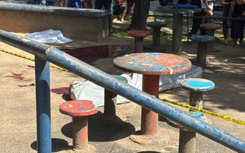 Imagem do post Homem é executado a tiros em praça no bairro de São Marcos