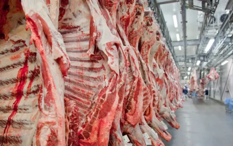 Imagem do post Exportação de carne bovina bate recorde em mês anterior ao tarifaço