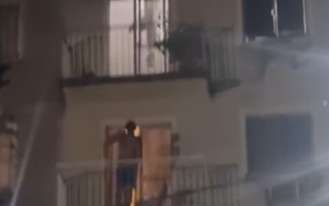 Imagem do post Vídeo: mulher é morta a marretadas por companheiro