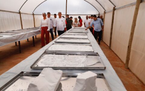 Imagem do post Ibiassucê recebe investimentos para impulsionar agricultura familiar