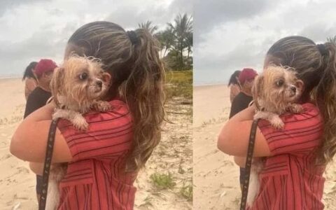 Imagem do post Cachorro de vítimas de triplo homicídio em Ilhéus é encontrado