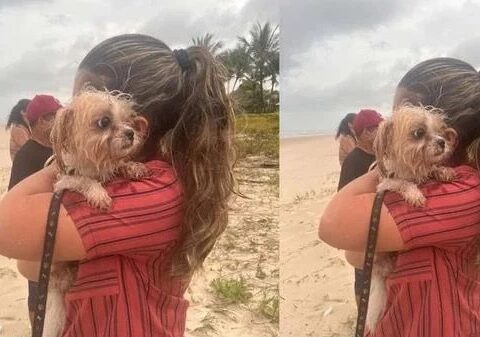 Imagem do post Cachorro de vítimas de triplo homicídio em Ilhéus é encontrado