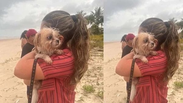 Cachorro de vítimas de triplo homicídio em Ilhéus é encontrado