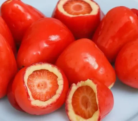 Imagem do post Conselho Federal de Odontologia alerta sobre riscos do morango do amor