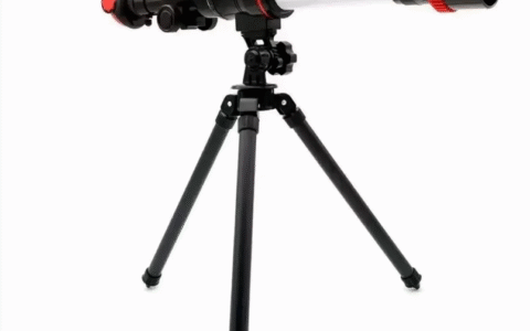 Imagem do post Dia dos Pais: 5 brinquedos para pais e filhos criarem memórias brincando juntos