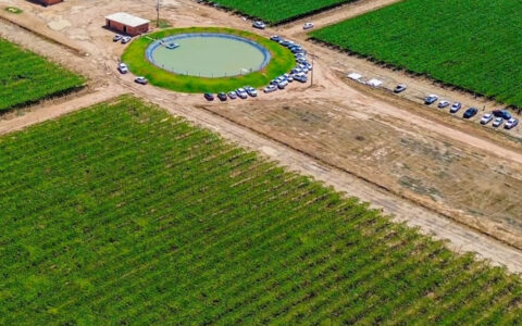 Imagem do post Barra Agroshow terá Seminário pago com foco em fruticultura irrigada e inovação