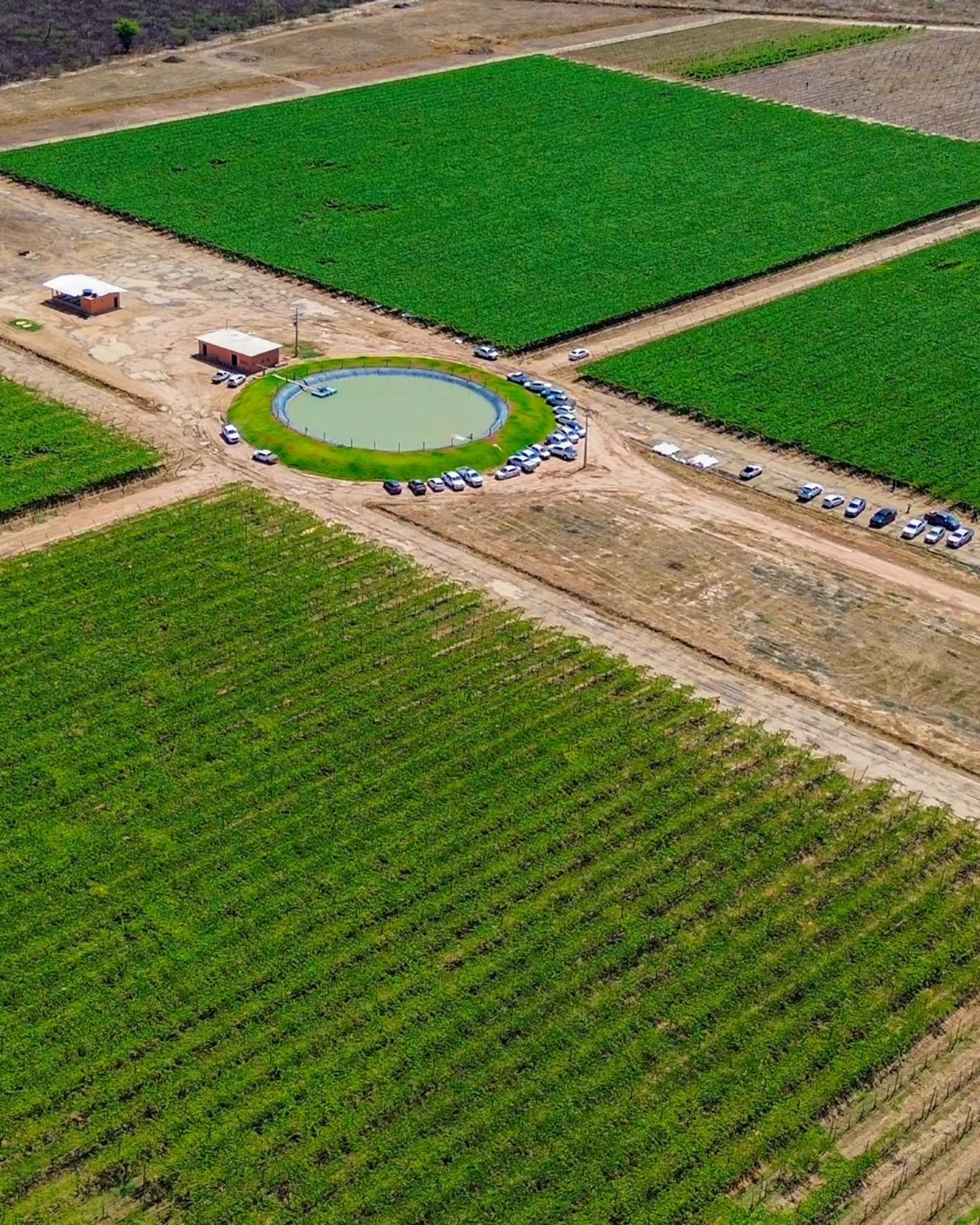 Barra Agroshow terá Seminário pago com foco em fruticultura irrigada e inovação