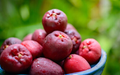 Imagem do post Conheça a fruta que pode ser a chave para um coração mais forte