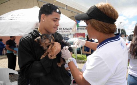 Imagem do post Saúde de Salvador convoca tutores para vacinação contra a raiva neste fim de semana