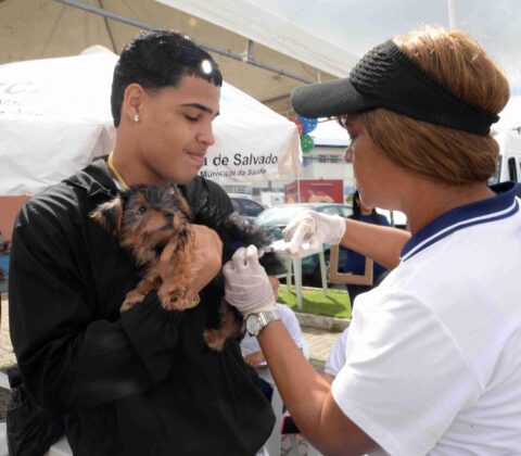 Imagem do post Saúde de Salvador convoca tutores para vacinação contra a raiva neste fim de semana