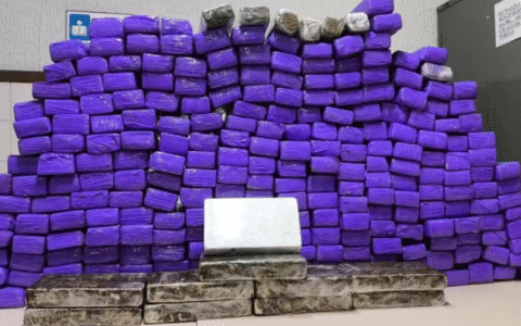 Imagem do post Polícia apreende mais de 260 kg de drogas em van de turismo na Bahia