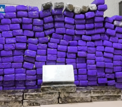 Imagem do post Polícia apreende mais de 260 kg de drogas em van de turismo na Bahia