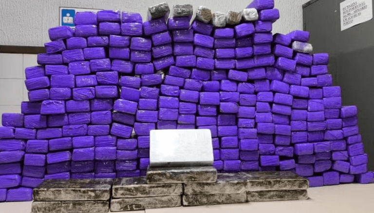 Polícia apreende mais de 260 kg de drogas em van de turismo na Bahia