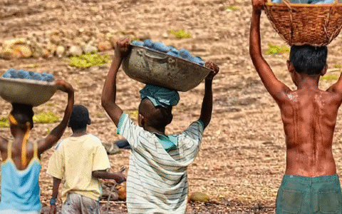 Imagem do post Trabalho infantil tem queda histórica no Brasil
