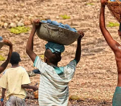 Imagem do post Trabalho infantil tem queda histórica no Brasil