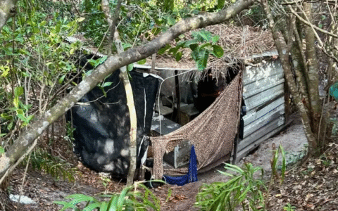 Imagem do post Polícia destrói acampamento do tráfico em Itapuã