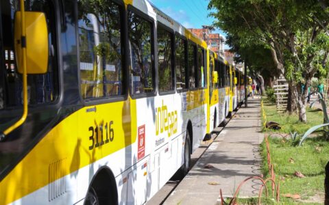 Imagem do post Salvador terá mais viagens de ônibus a partir desta semana