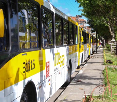 Imagem do post Salvador terá mais viagens de ônibus a partir desta semana