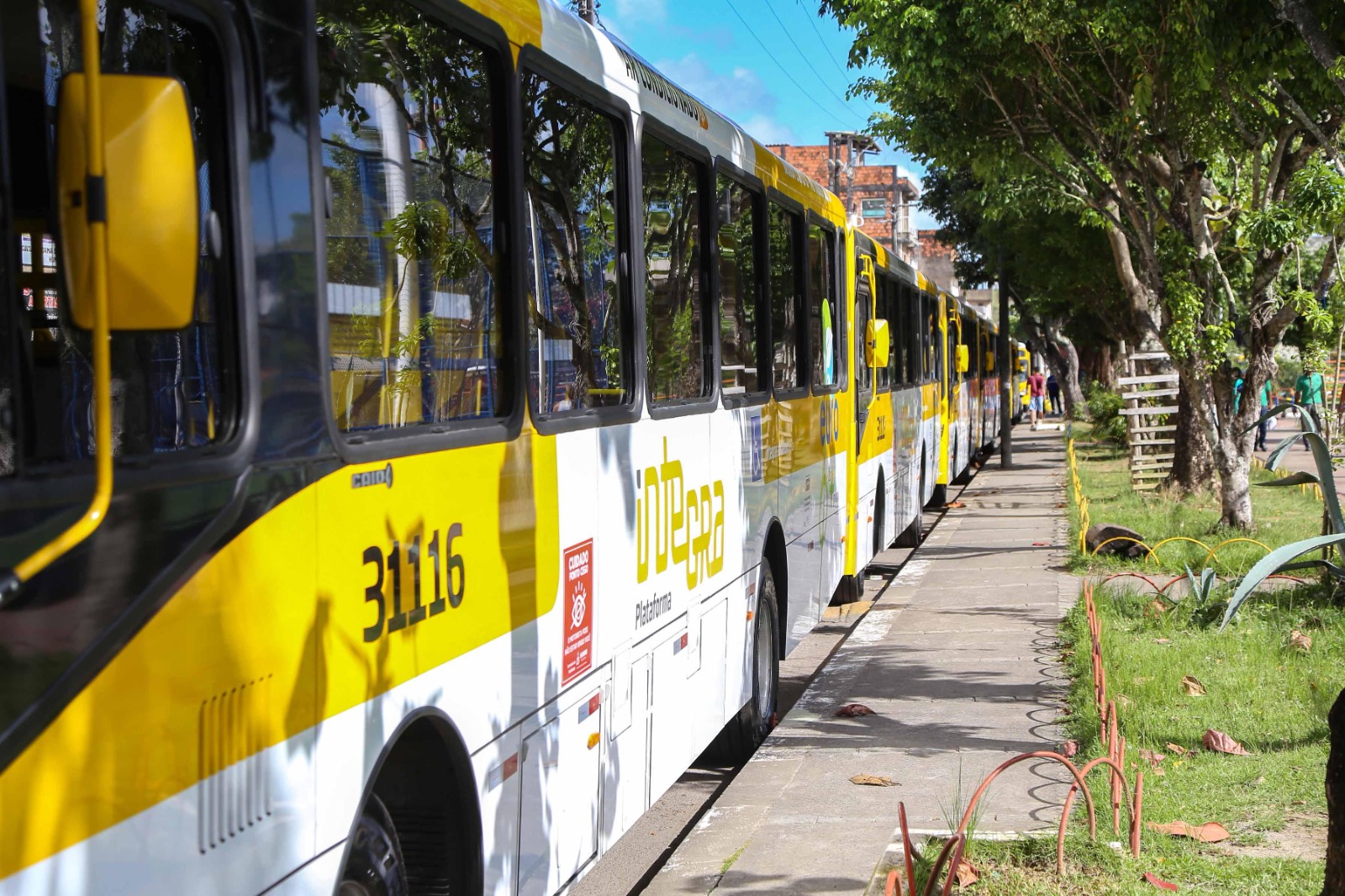 Salvador terá mais viagens de ônibus a partir desta semana