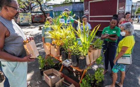 Imagem do post Prefeitura promove distribuição de 1 mil mudas neste domingo (21)