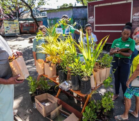 Imagem do post Prefeitura promove distribuição de 1 mil mudas neste domingo (21)