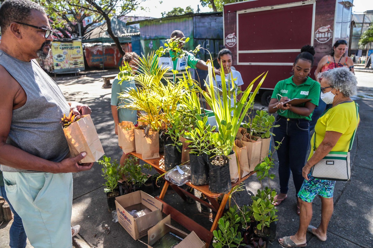 Prefeitura promove distribuição de 1 mil mudas neste domingo (21)