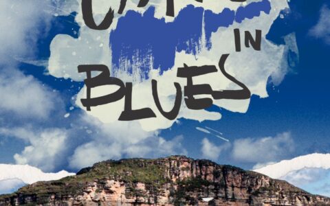 Imagem do post Capão in Blues 2025 promete o maior festival de blues da Chapada