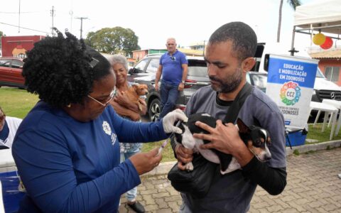 Imagem do post Salvador convoca tutores para vacinação antirrábica de cães e gatos