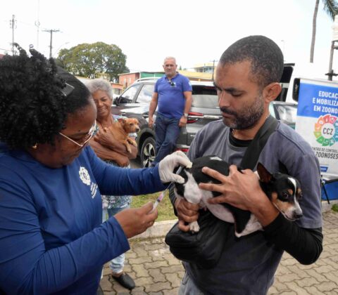 Imagem do post Salvador convoca tutores para vacinação antirrábica de cães e gatos