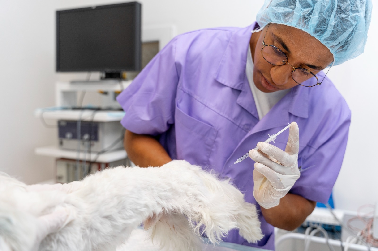 Semana de Medicina Veterinária da Estácio terá palestras e arrecadação de ração