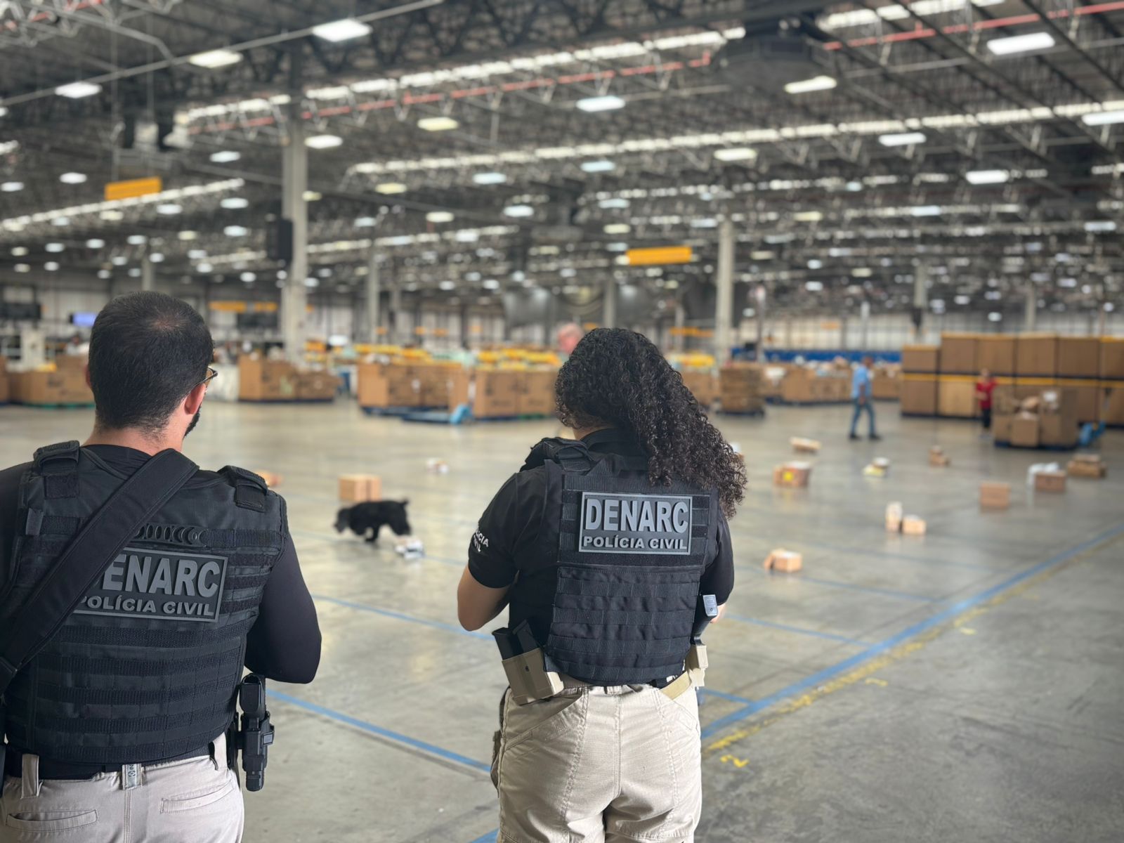 Polícia apreende drogas e cigarros eletrônicos em operação conjunta com os Correios