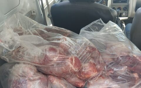 Imagem do post Polícia apreende 330kg de alimento estragado em Salvador