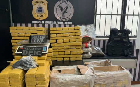 Imagem do post Polícia Civil apreende 212 quilos de maconha em Feira de Santana