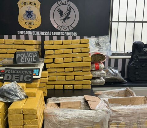 Imagem do post Polícia Civil apreende 212 quilos de maconha em Feira de Santana