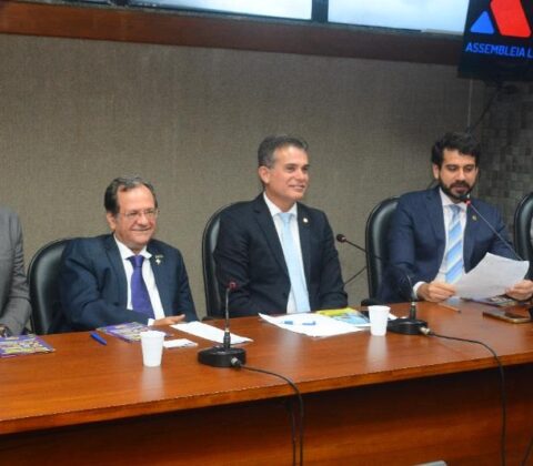 Imagem do post Audiência pública na ALBA reúne representantes de 12 vinícolas para debater cadeia produtiva do vinho na Bahia