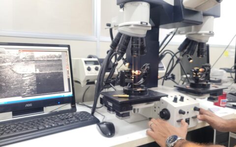 Imagem do post Polícia Técnica conclui perícia de fuzis apreendidos em Abrantes