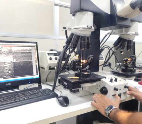 Imagem do post Polícia Técnica conclui perícia de fuzis apreendidos em Abrantes
