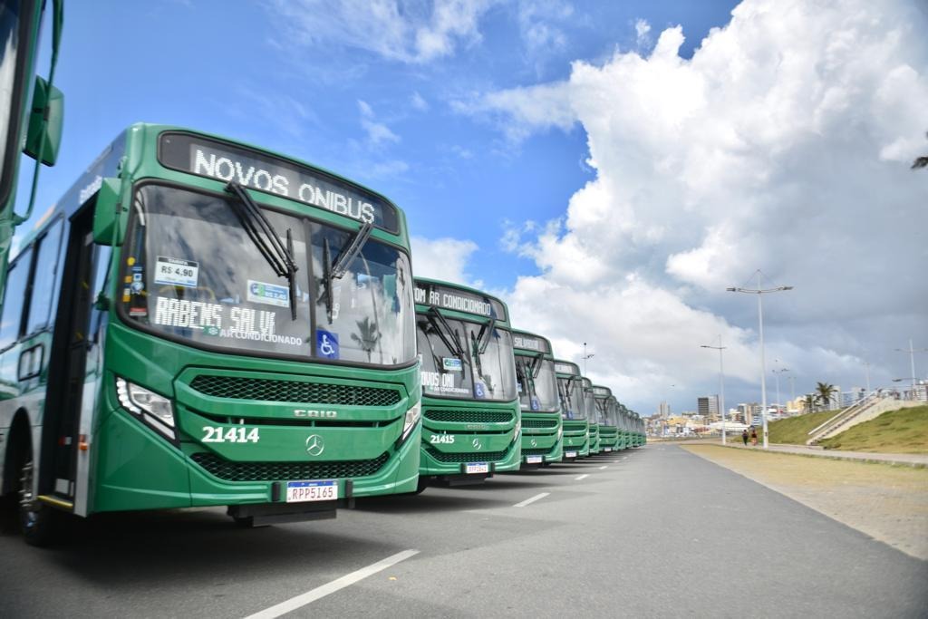 Novas linhas de ônibus começam a operar a partir desta quarta-feira (1º)