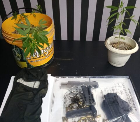 Imagem do post Criminoso usa família como escudo em confronto policial na Bahia