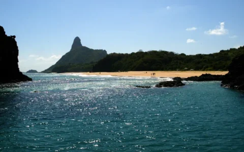 Imagem do post Ilhas brasileiras: estudo revela presença de espécies exclusivas