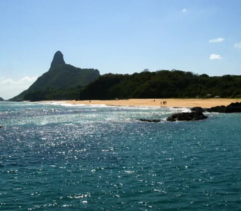 Imagem do post Ilhas brasileiras: estudo revela presença de espécies exclusivas