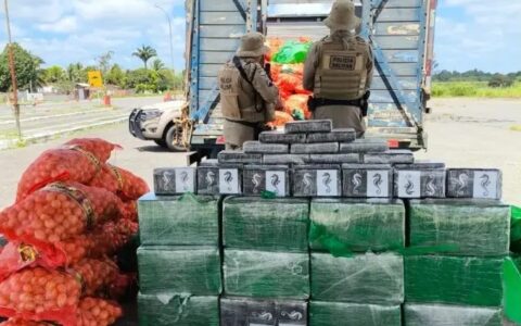Imagem do post Polícia apreende 500 kg de cocaína escondida em carga de cebolas