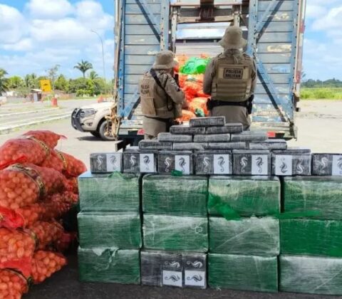 Imagem do post Polícia apreende 500 kg de cocaína escondida em carga de cebolas